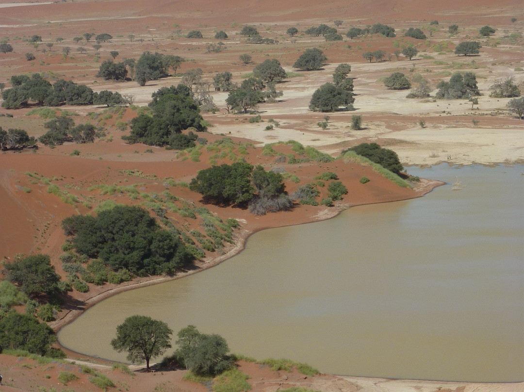 Sossusvlei-Namib-Naukluft Park必去景点