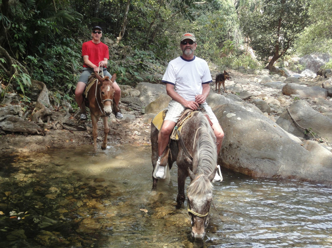 Rancho Lopez-Mismaloya必去景点