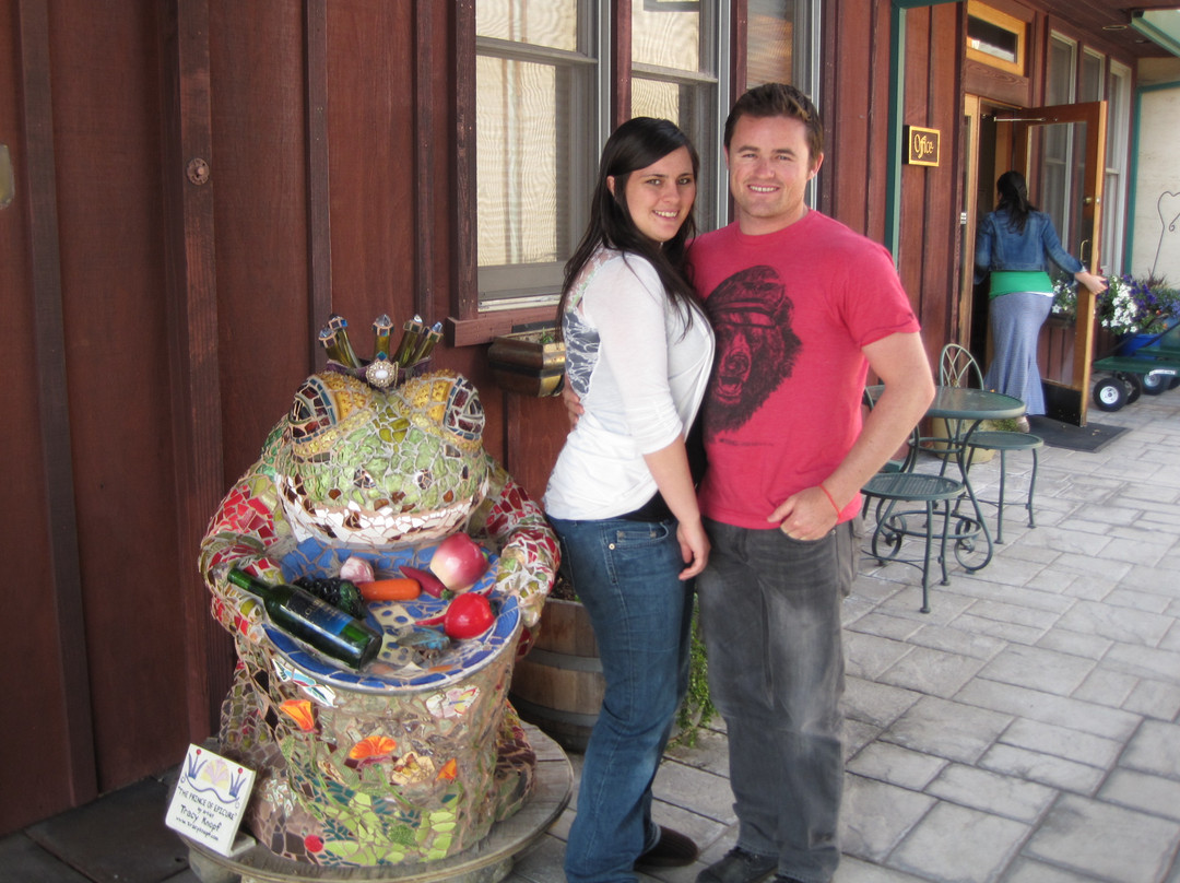 Courtwood Wine Tasting Tours景点图片