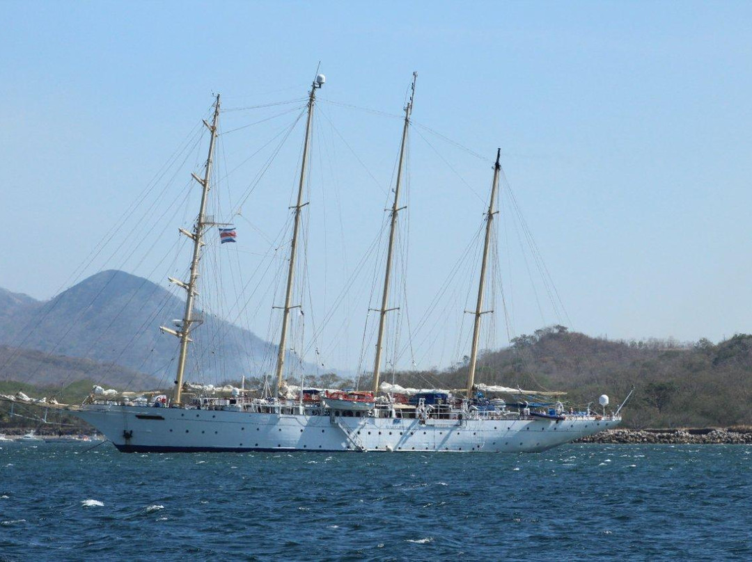 Lazy Lizard Sailing景点图片