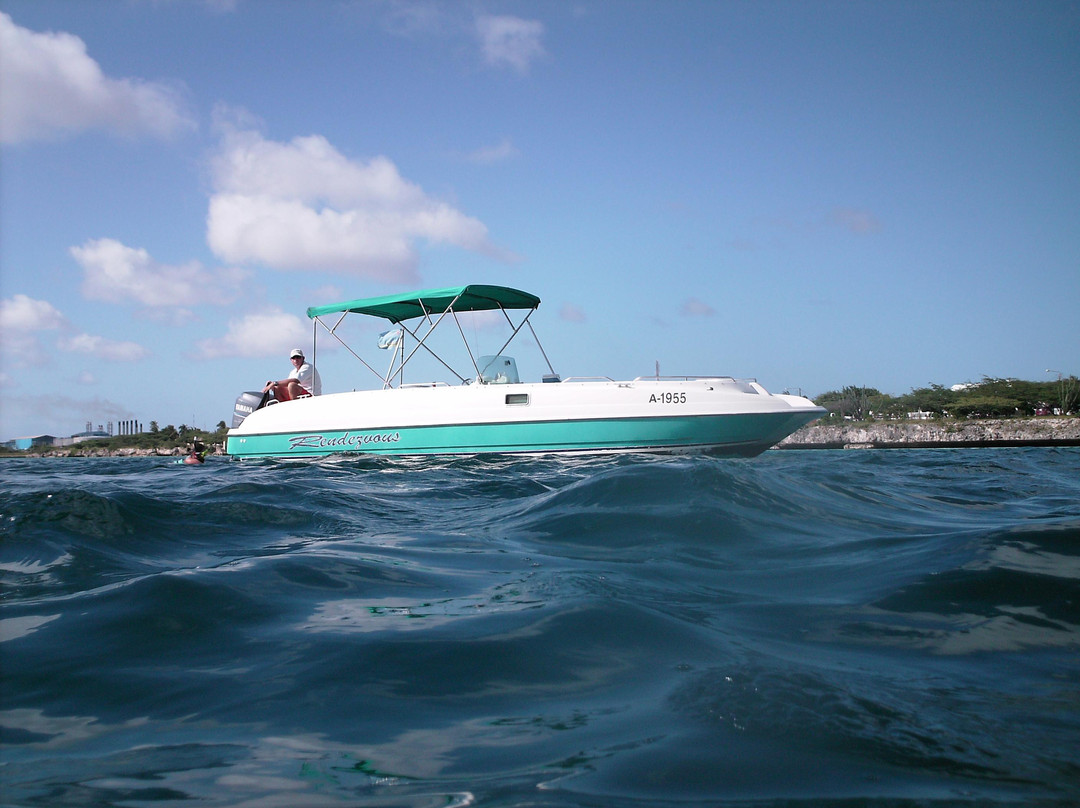 Private Snorkeling Aruba-棕榈/鹰海滩必去景点