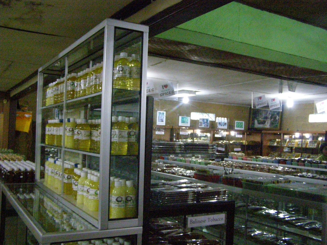 Buana Amertha Sari (BAS)-邦利必去景点