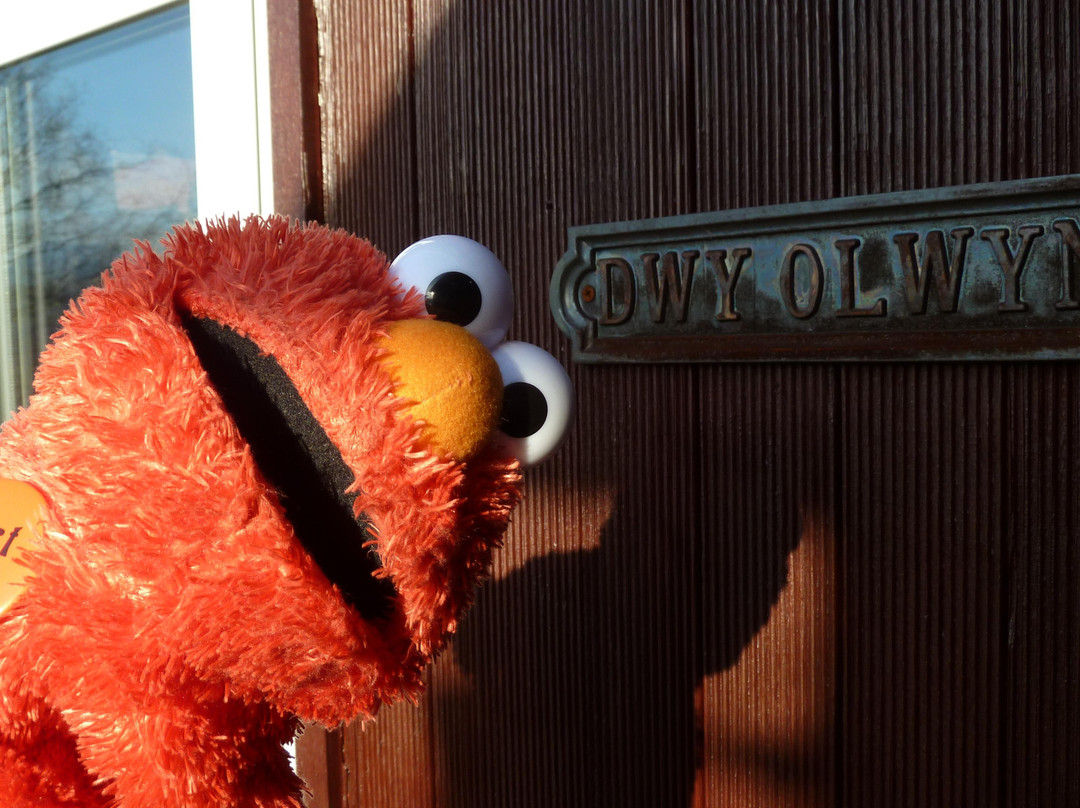 Dwy Olwyn Bed & Breakfast主图