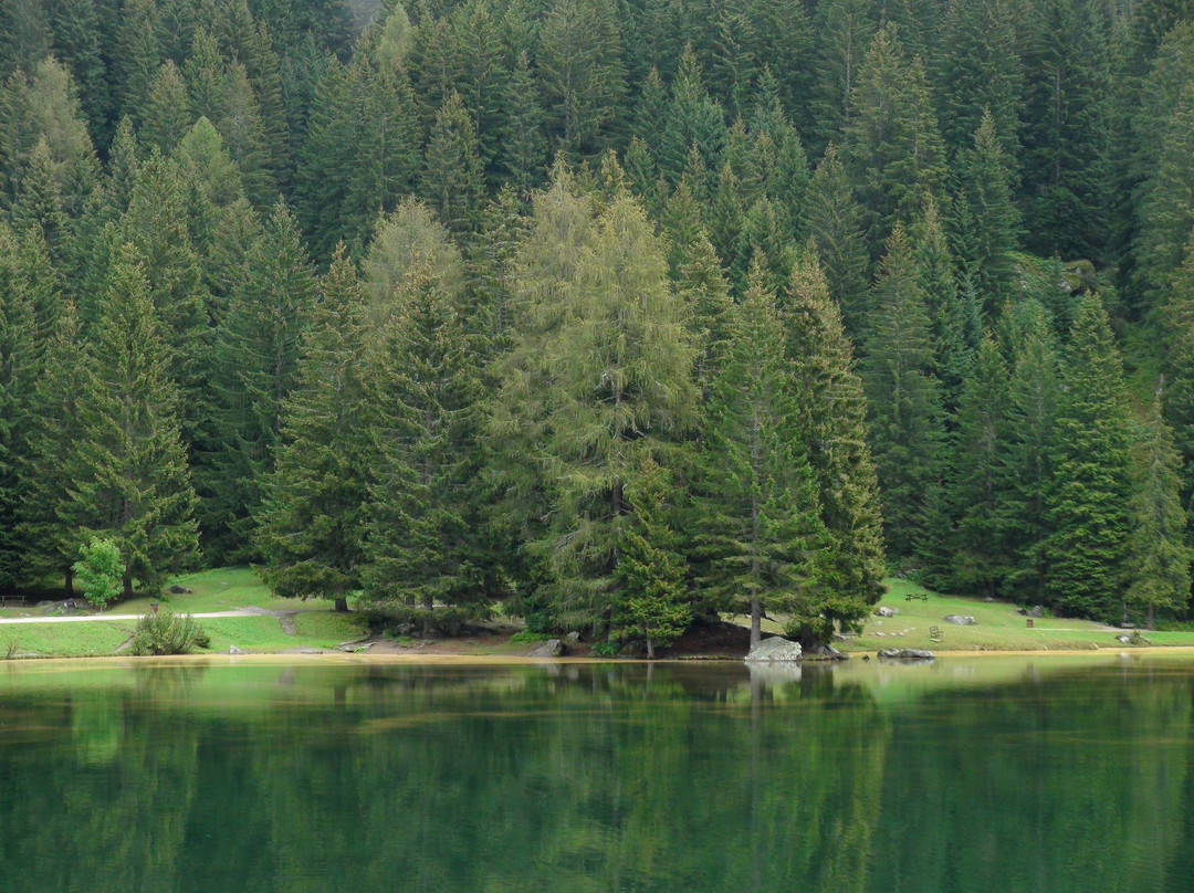 Lago dei Caprioli景点图片