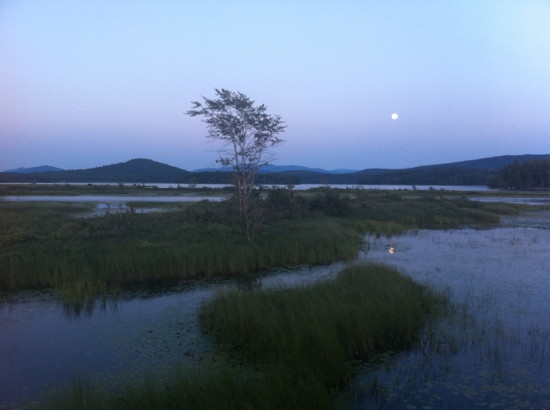 The Wild Center景点图片