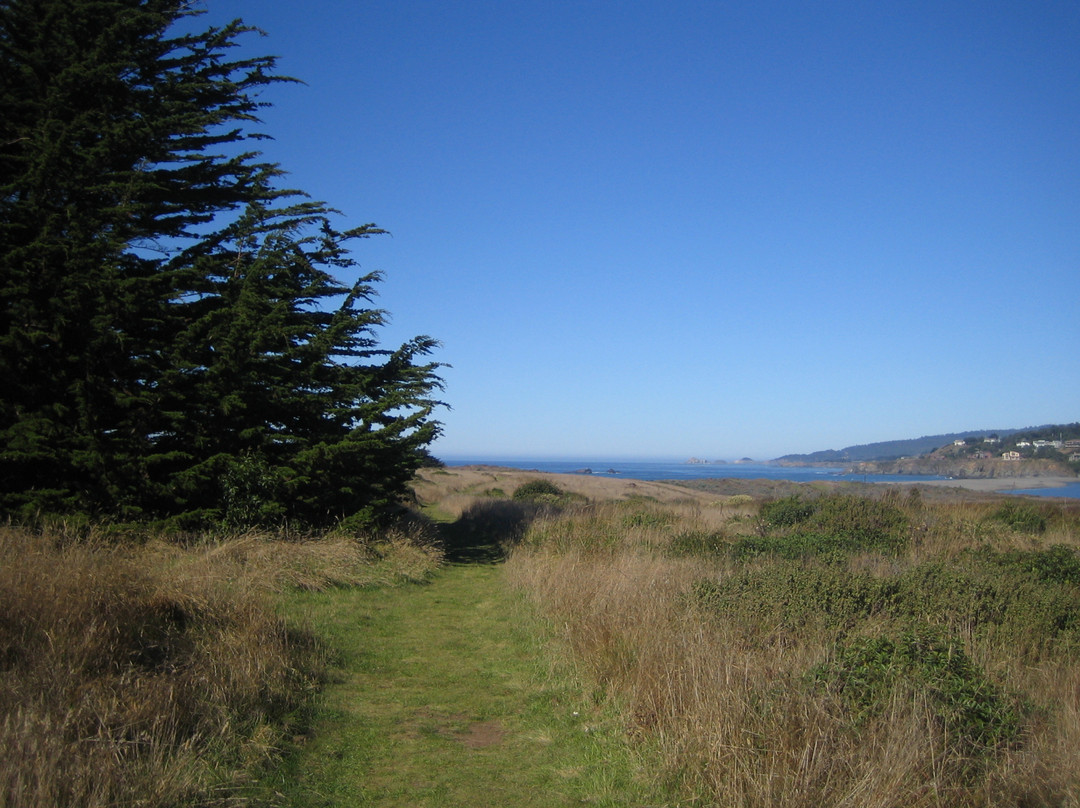 Gualala Point Regional Park景点图片