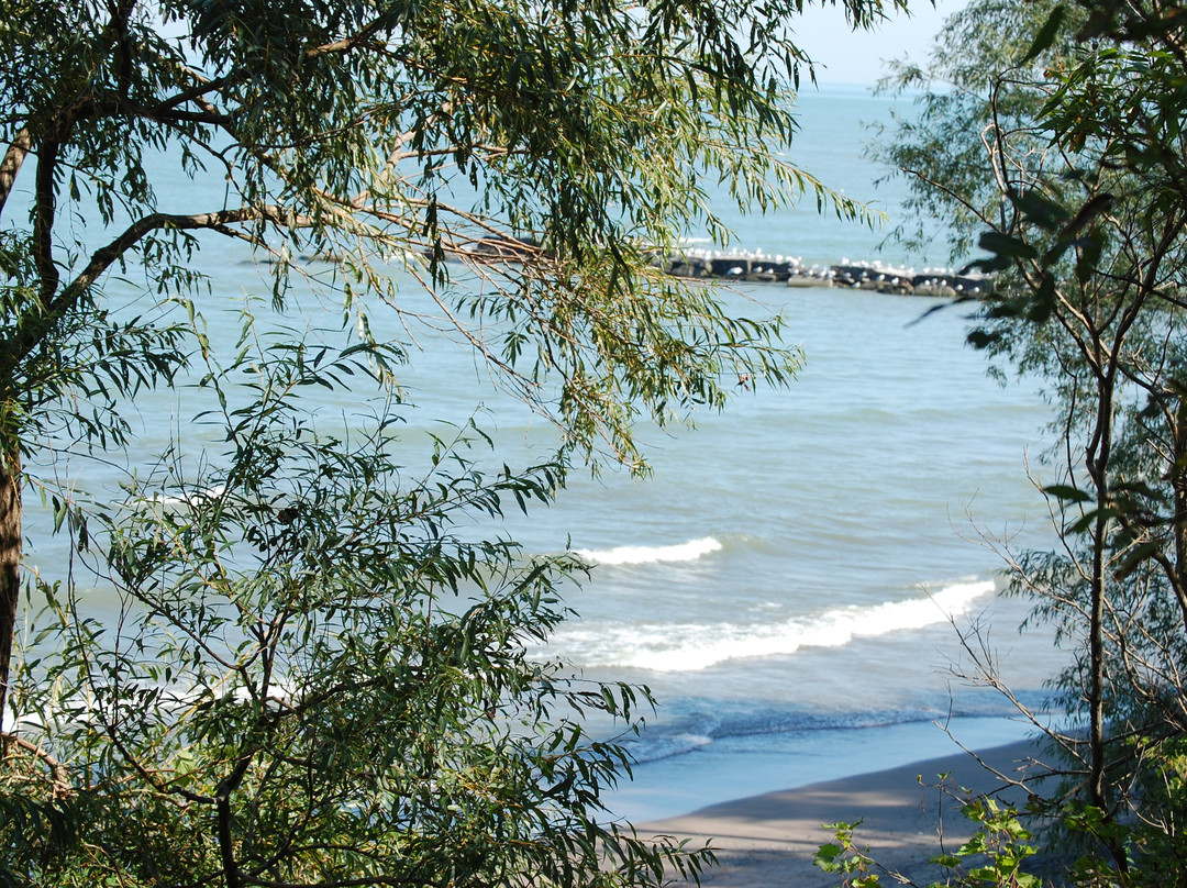 Huntington Beach-Bay Village必去景点