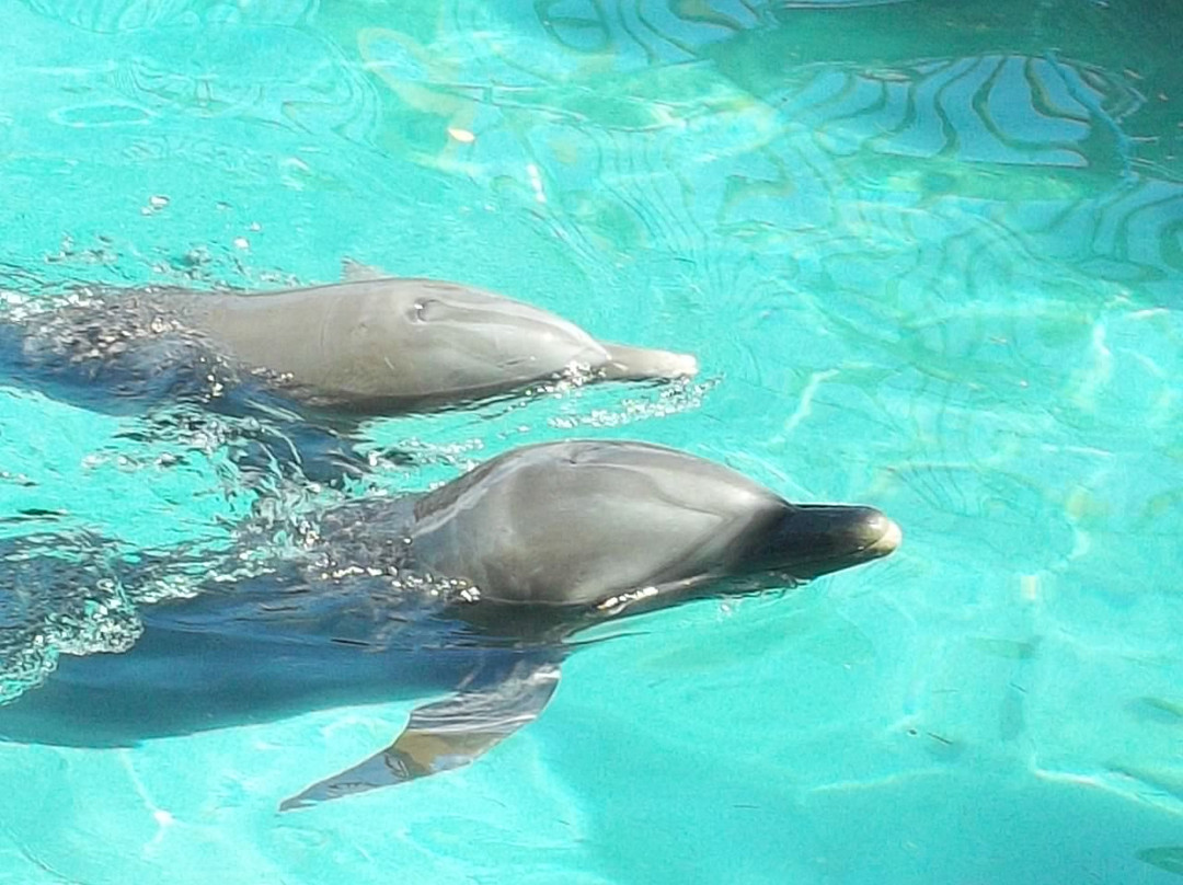 Blue Lagoon Island-拿骚必去景点