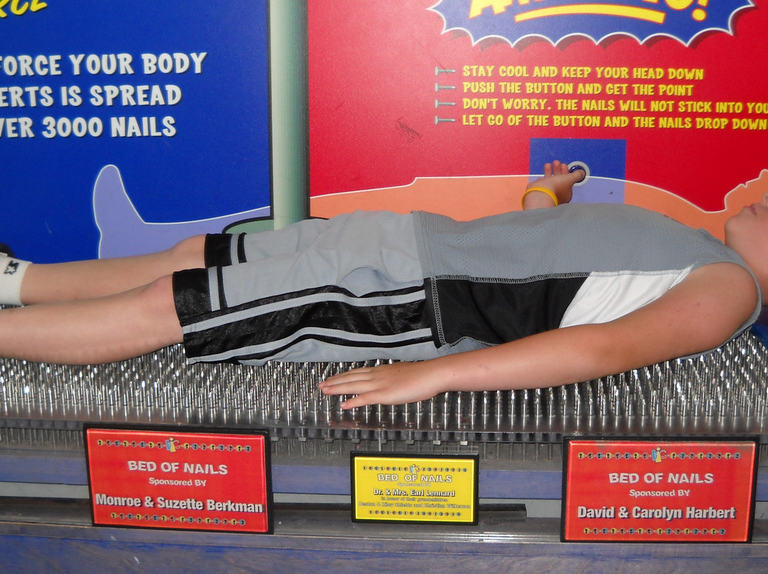 Museum of Science and Industry-坦帕必去景点