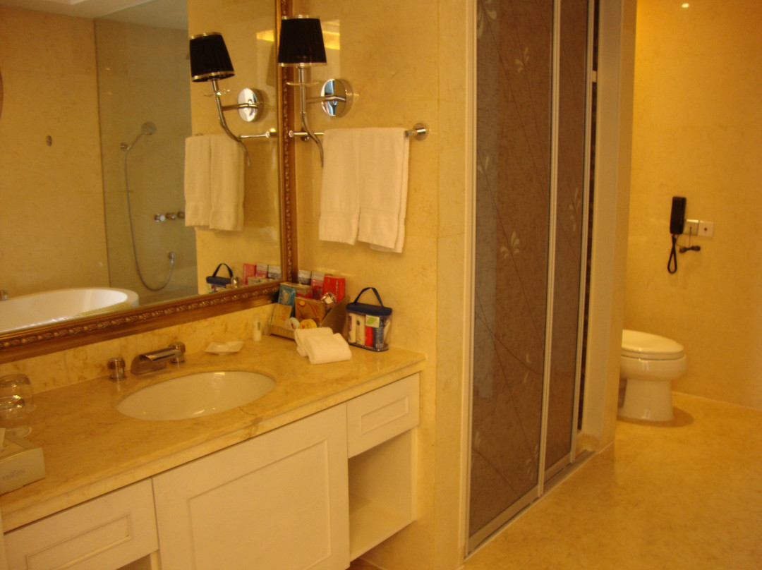 平湖圣雷克大酒店主图