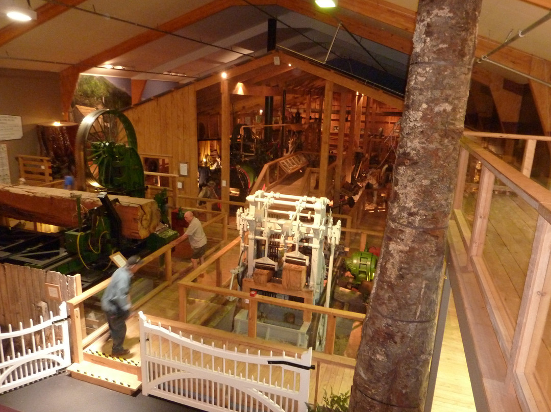 The Kauri Museum-Matakohe必去景点