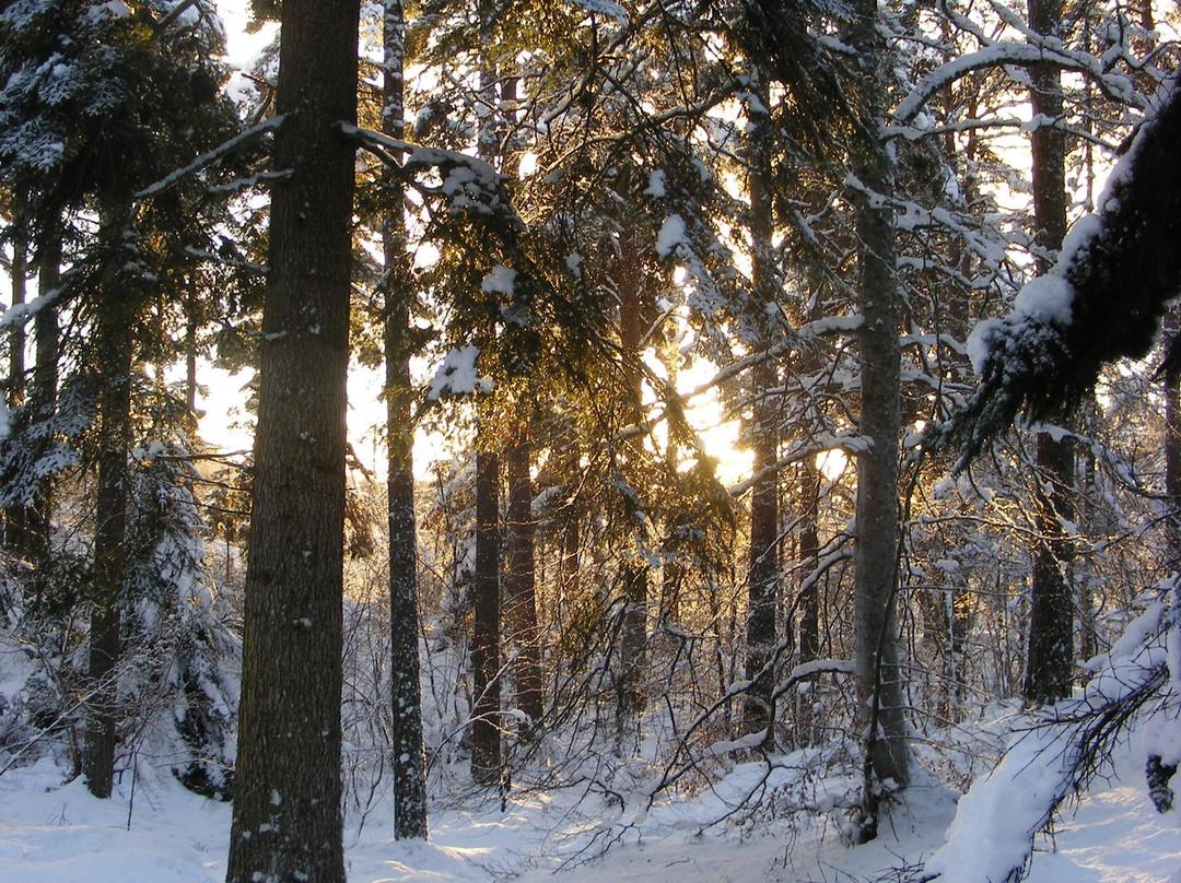 Anagach Woods-Grantown-on-Spey必去景点