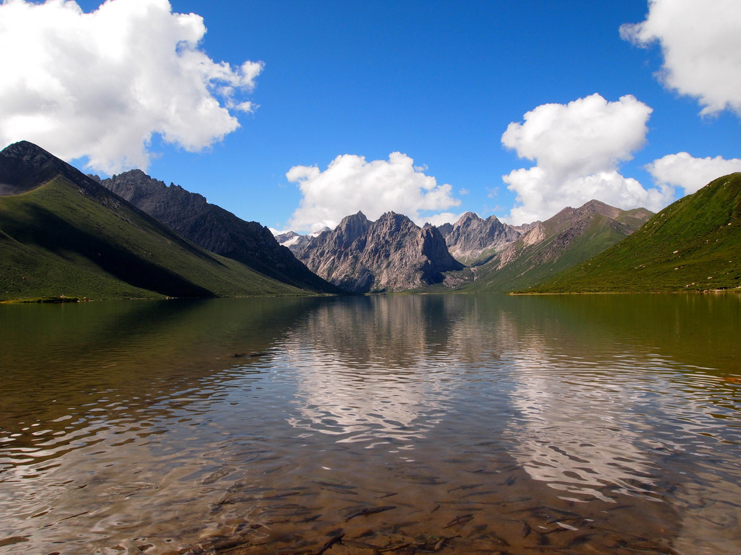 久治年宝玉则神山风景区景点图片