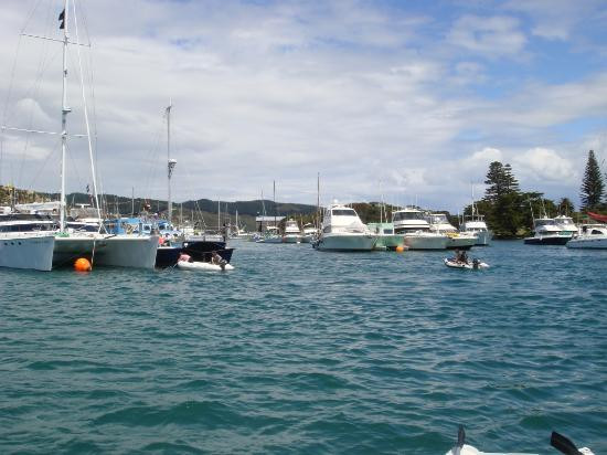 Mercury Bay-科罗曼德必去景点