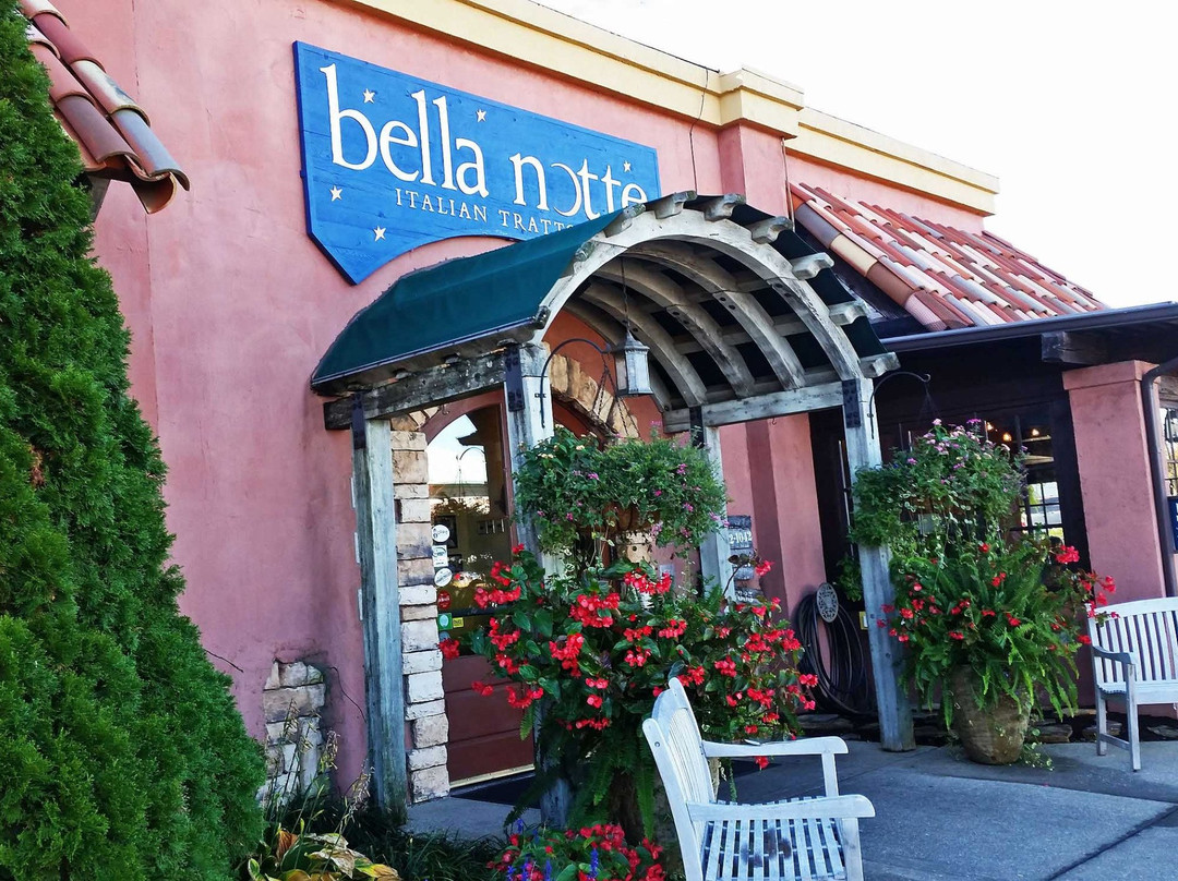 Bella Notte
