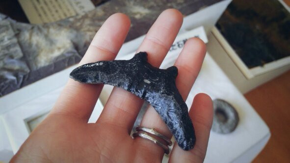 Okushiricho History and Folk Museum-奥尻町必去景点