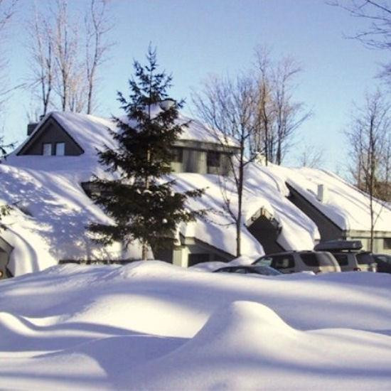 Woods Resort And Spa