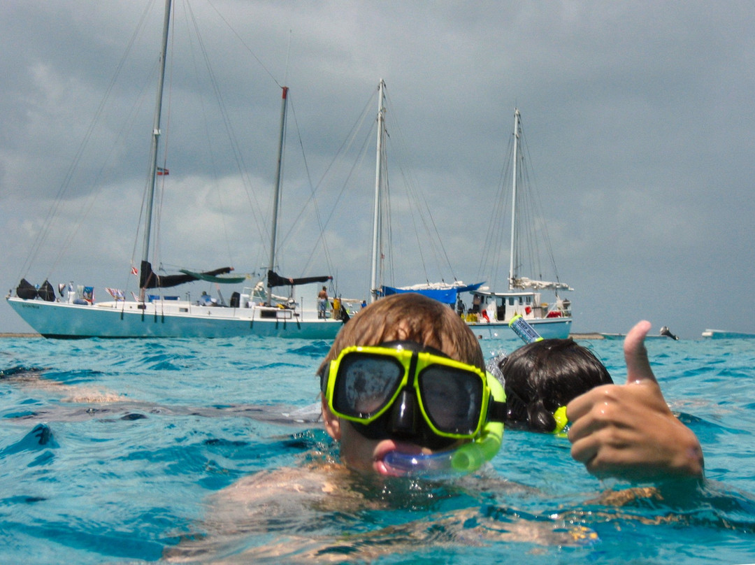 Sailing Adventures景点图片