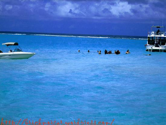 Stingray Sailing-大开曼岛必去景点