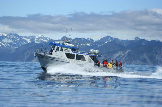 Crackerjack Sportfishing Charters-苏厄德必去景点