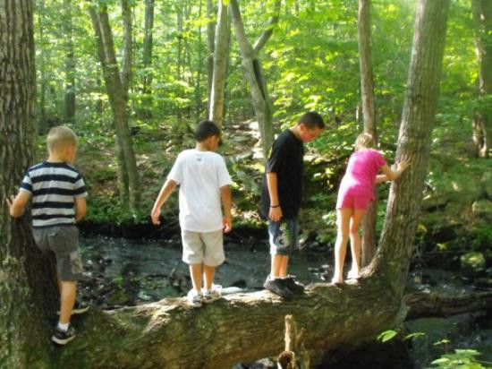 Tiverton Four Corners-Tiverton必去景点