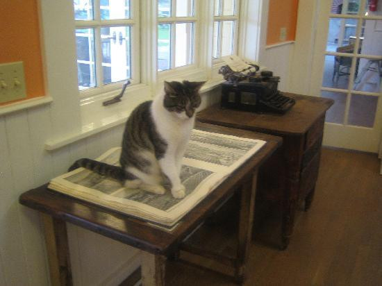 Preston Farms & Winery-希尔兹堡必去景点