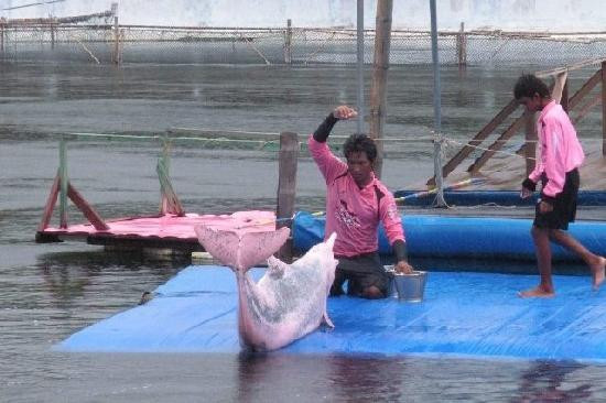 Oasis Sea World-廉信必去景点