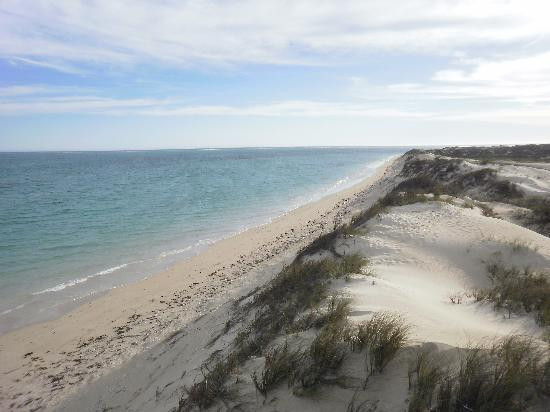 Ningaloo Reef-Ningaloo必去景点