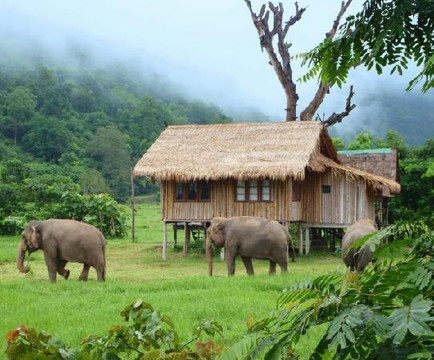大象自然保护公园-清迈必去景点