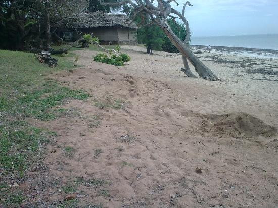 Jumba la Mtwana-蒙巴萨必去景点