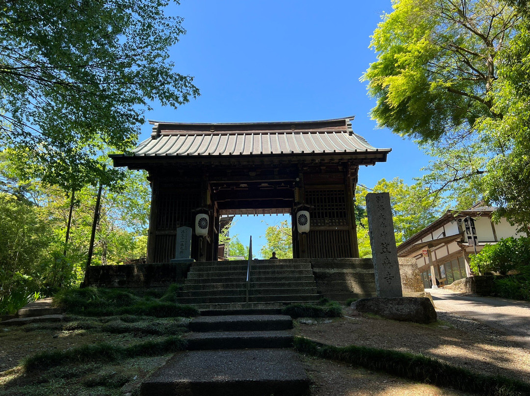 Kasamori-ji Temple-长南町必去景点