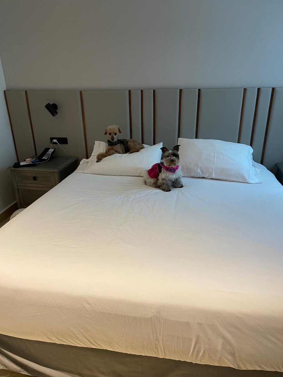 卡利里奥大道 NH-客卧