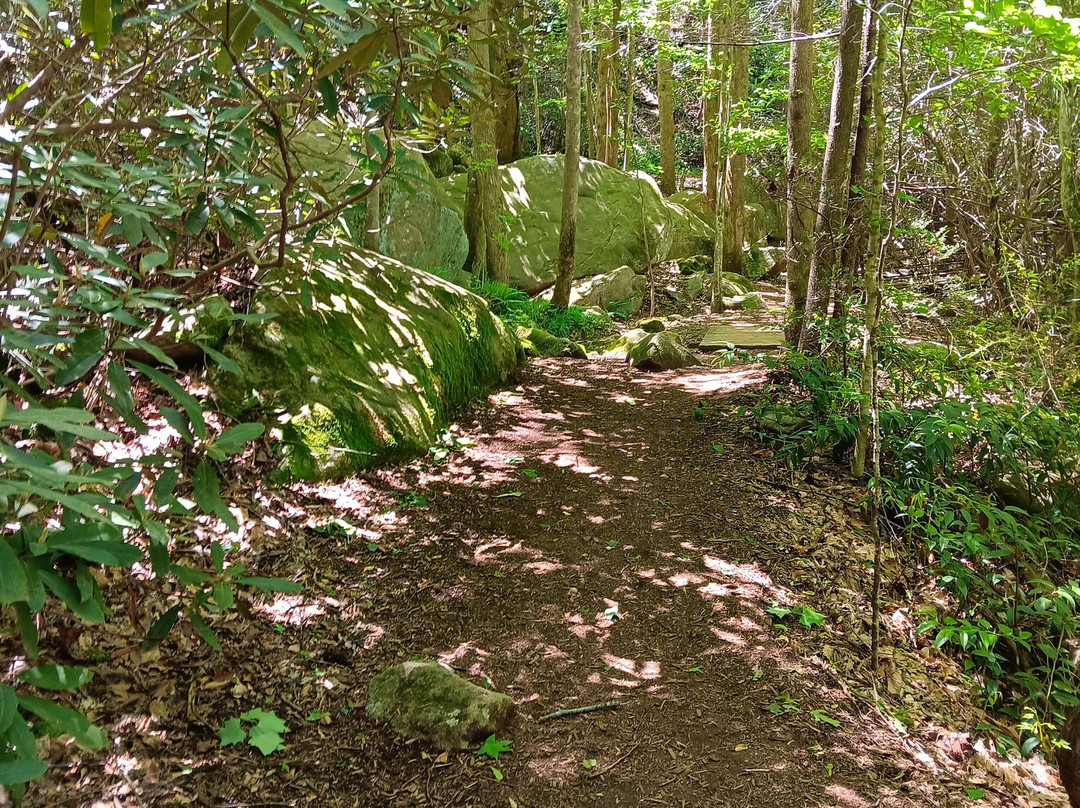 Jones Gap State Park-Marietta必去景点