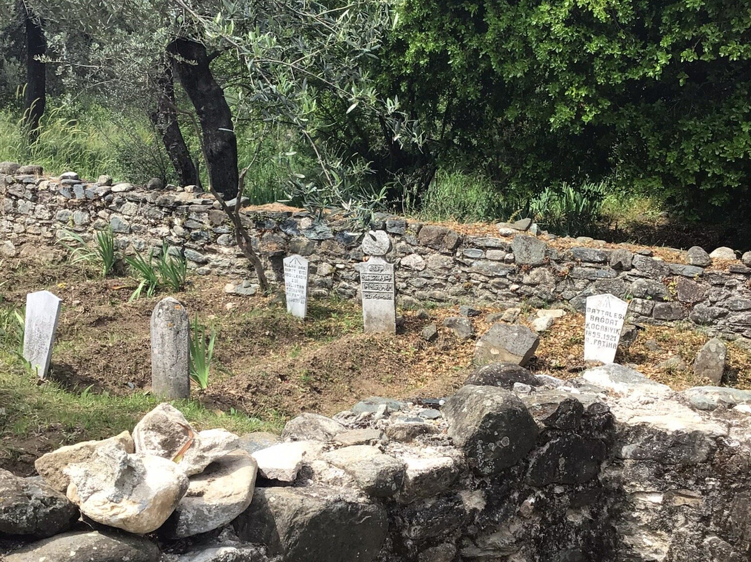 Tahtacilar Village Tahtaci Turkmen Historical Cemetery-埃德雷米特必去景点