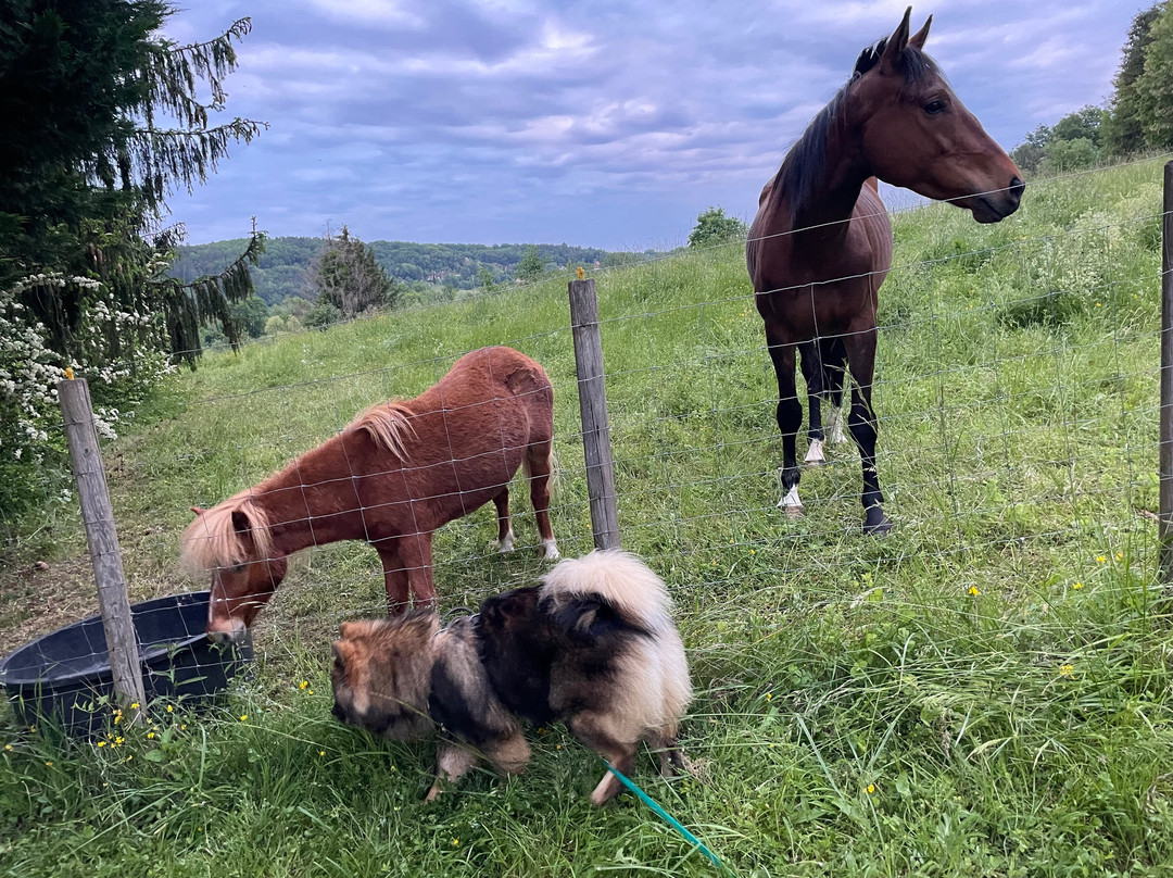 Au Pré des Sources主图