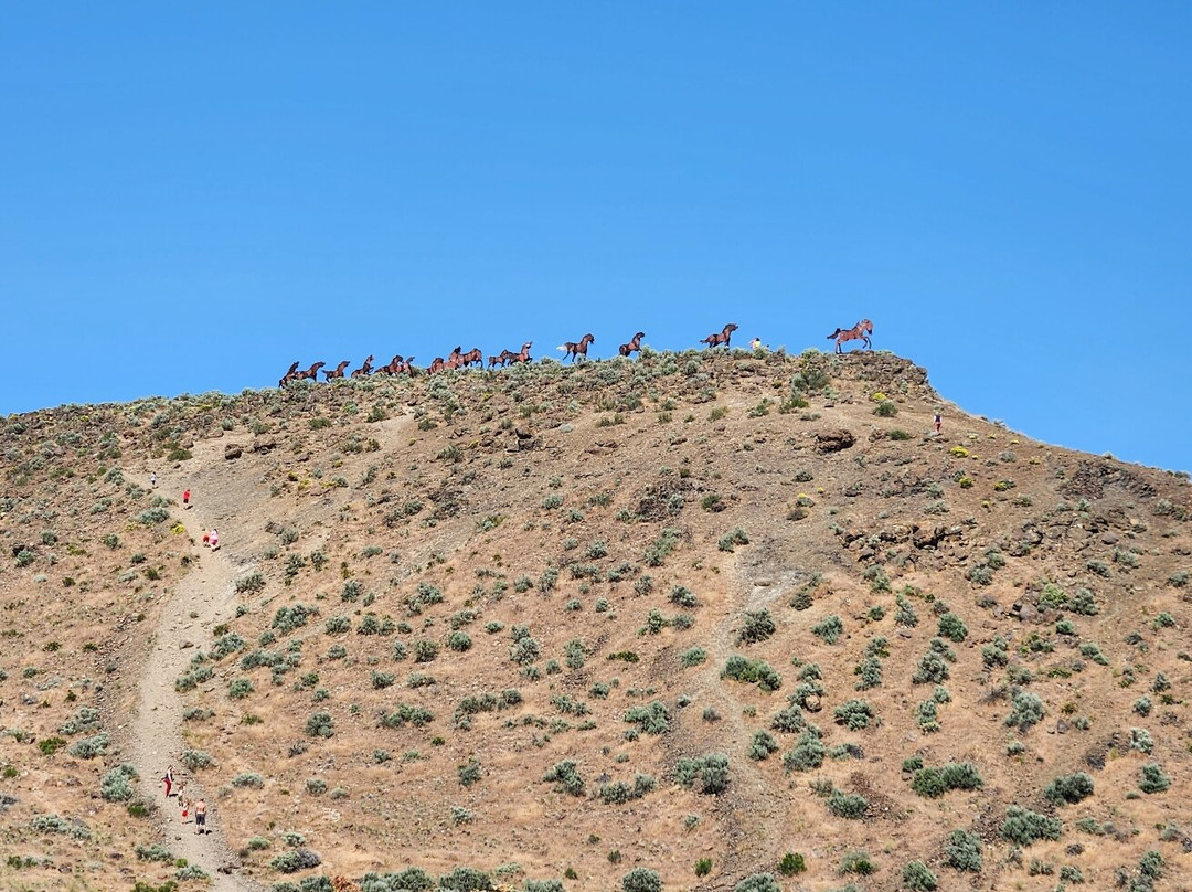 Wild Horse Monument景点图片