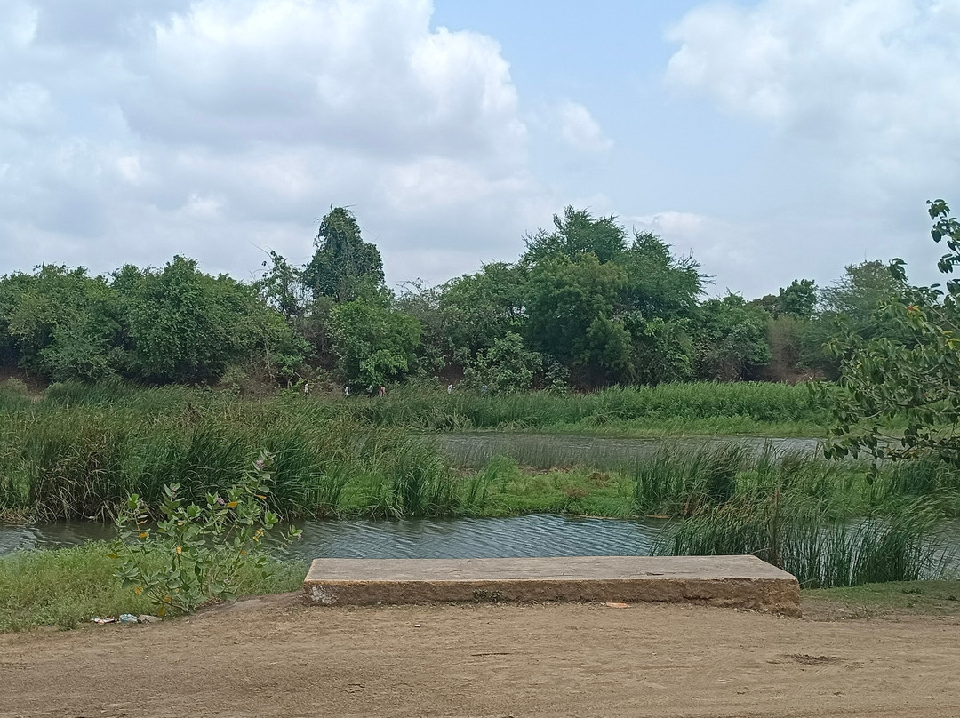 Gir Lion Safari Camp主图