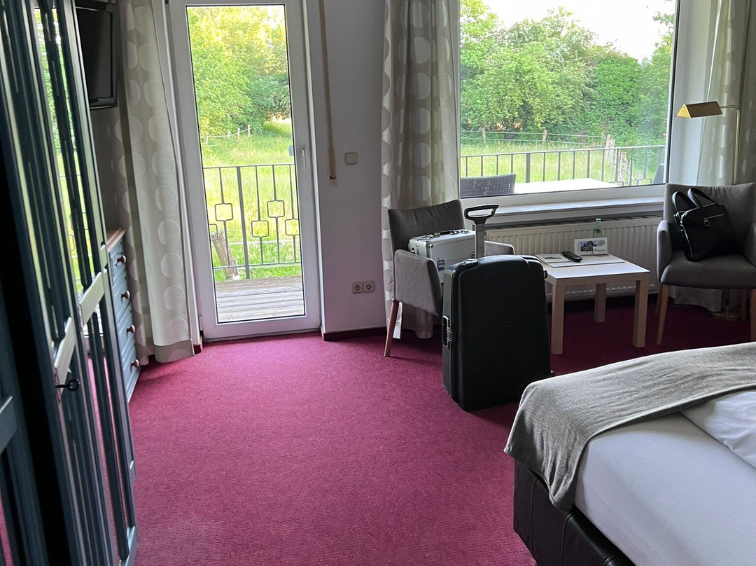 Antoniushütte主图