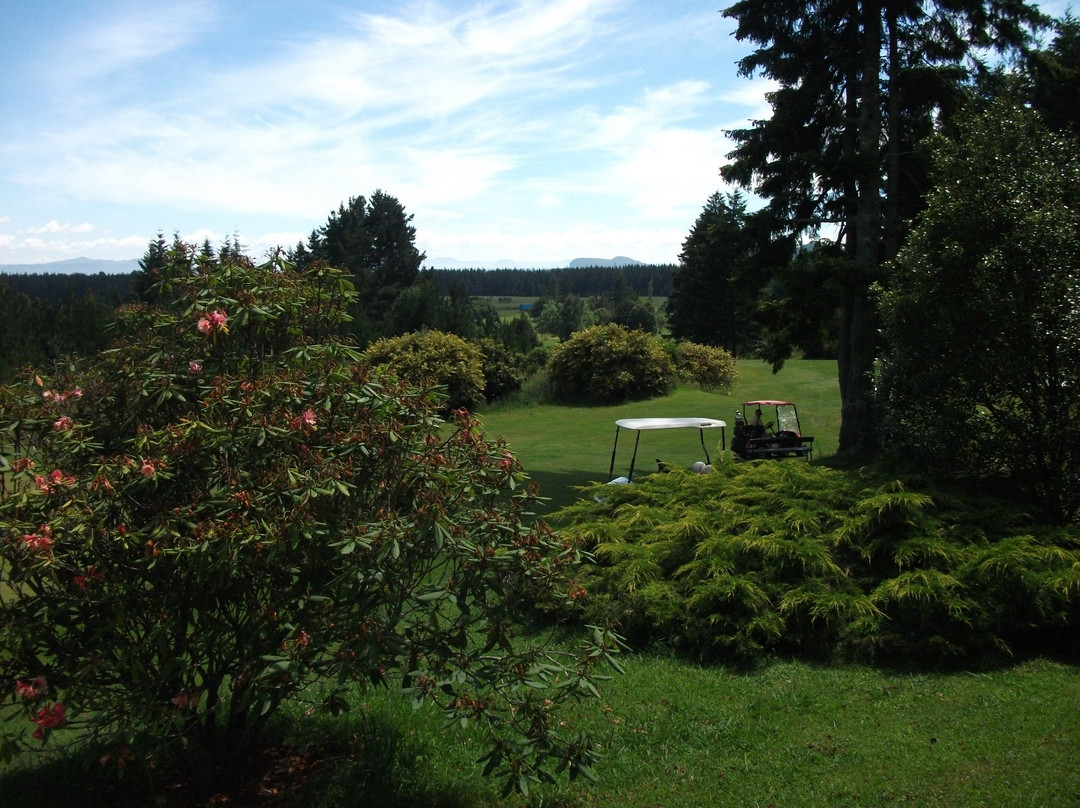 Turangi Golf Club-图朗伊必去景点