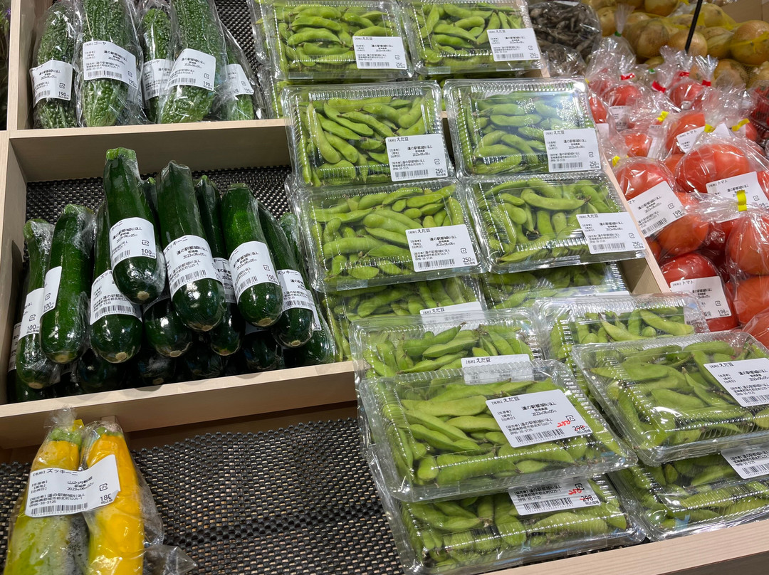 Miyakonojo Michi-no-Eki-都城市必去景点