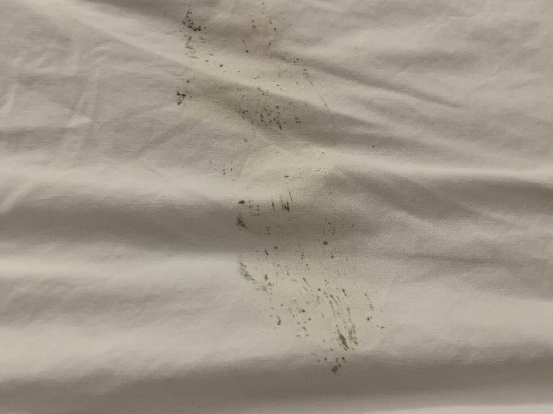 Superior Inn Hotel And Conference Centre主图