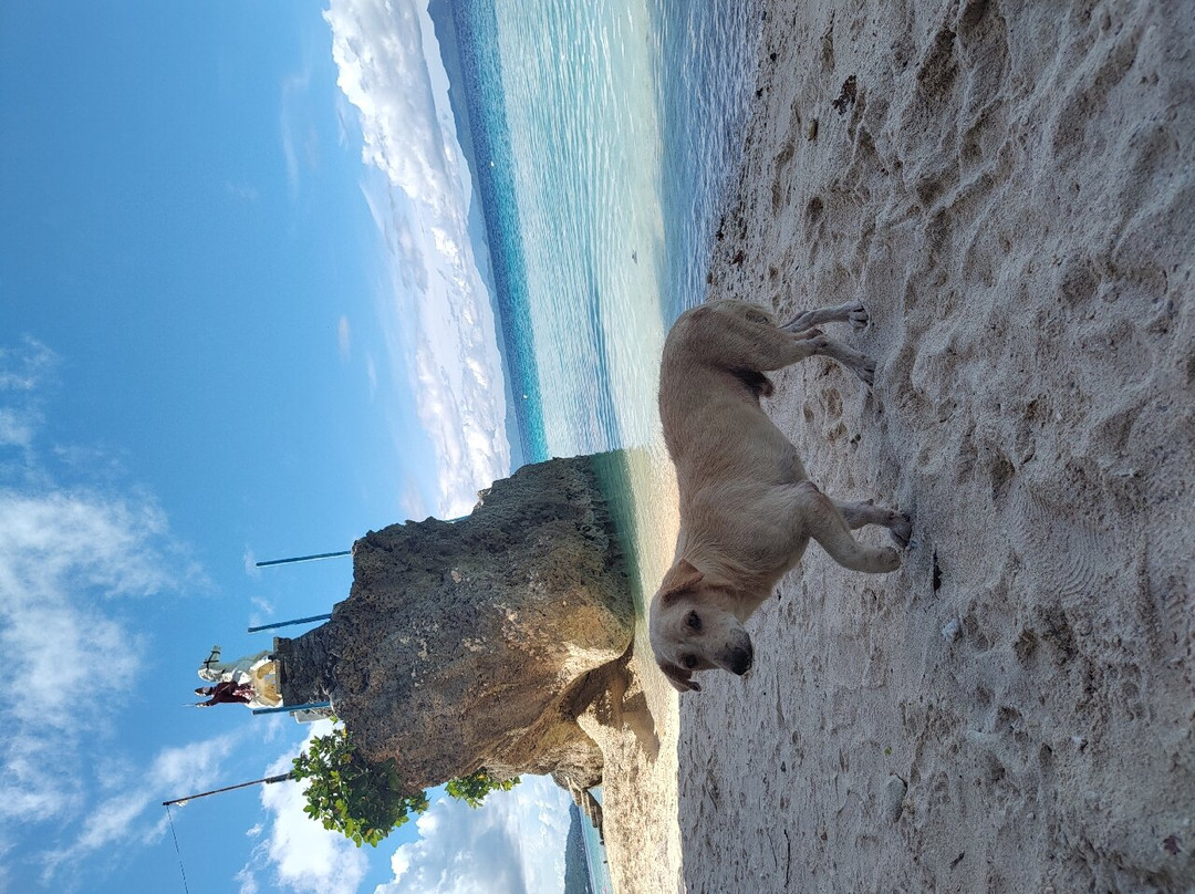 Tangkaan Beach景点图片