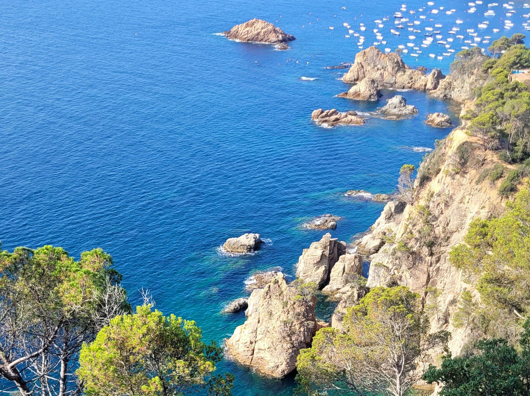 Cala Pola景点图片