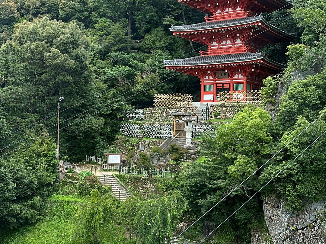 Mt. Kinka Ropeway-岐阜市必去景点