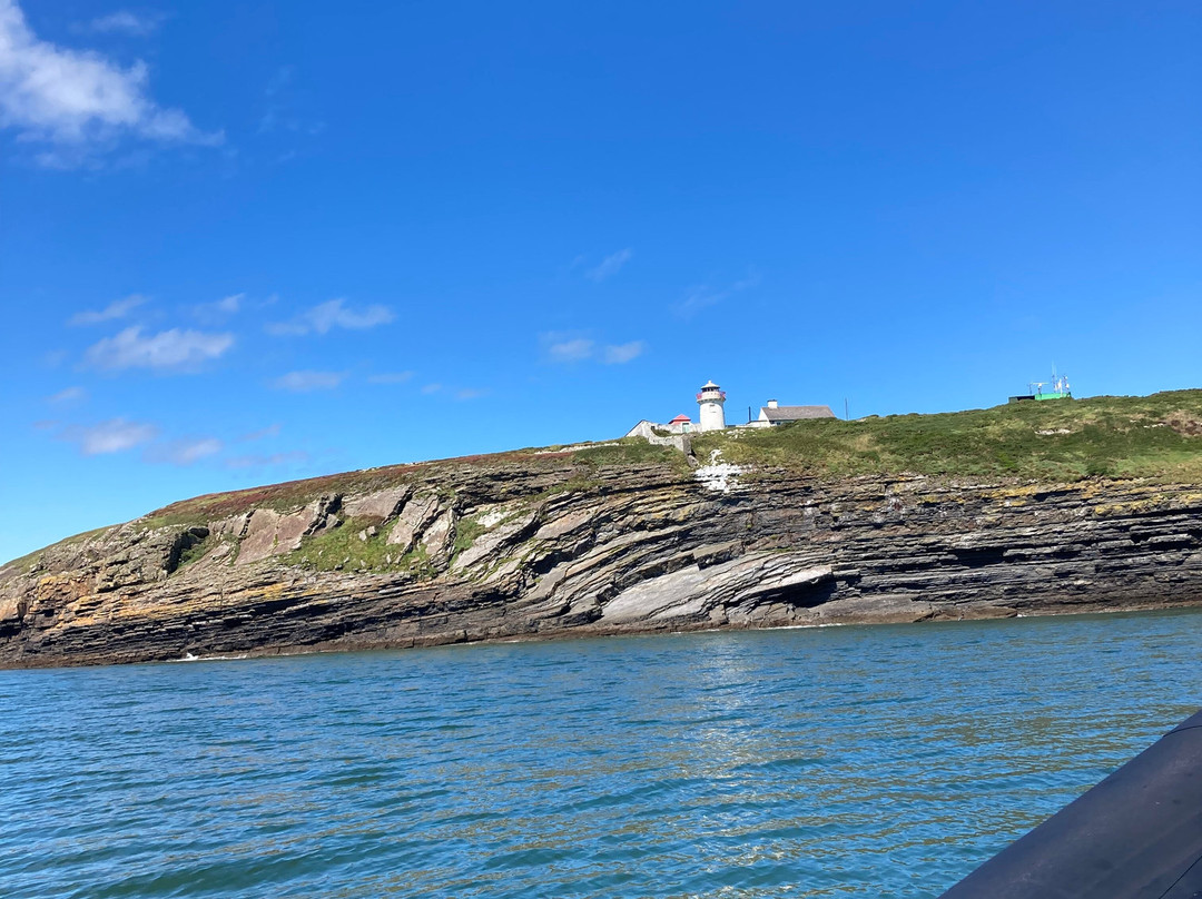 West Coast RIB Adventures-Kilrush必去景点
