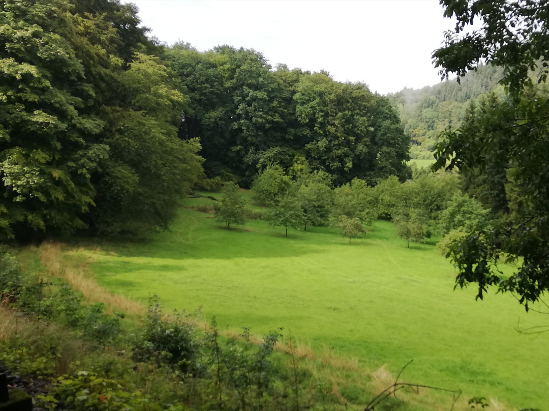 Ueberwaldbahn景点图片