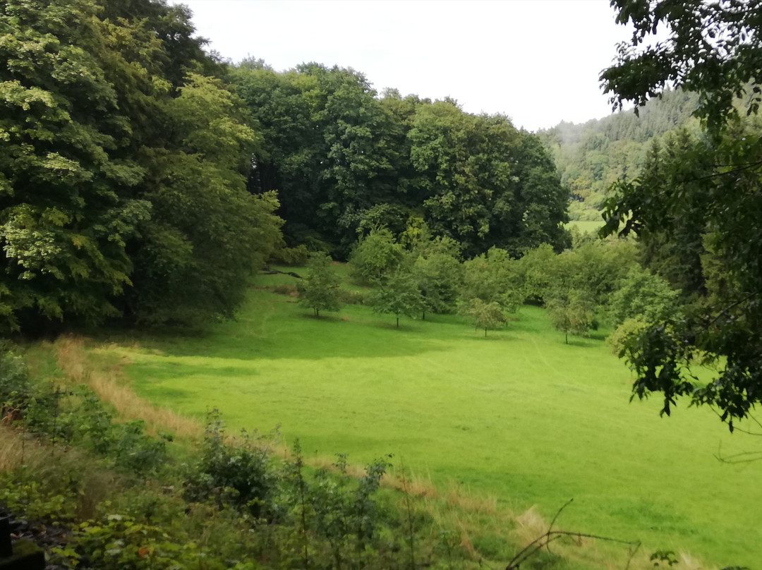 Ueberwaldbahn-Wald-Michelbach必去景点