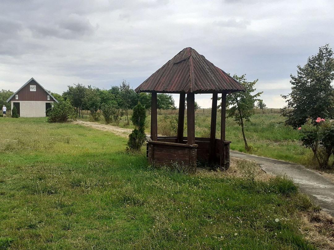 Mănăstirea Morisena-Cenad必去景点