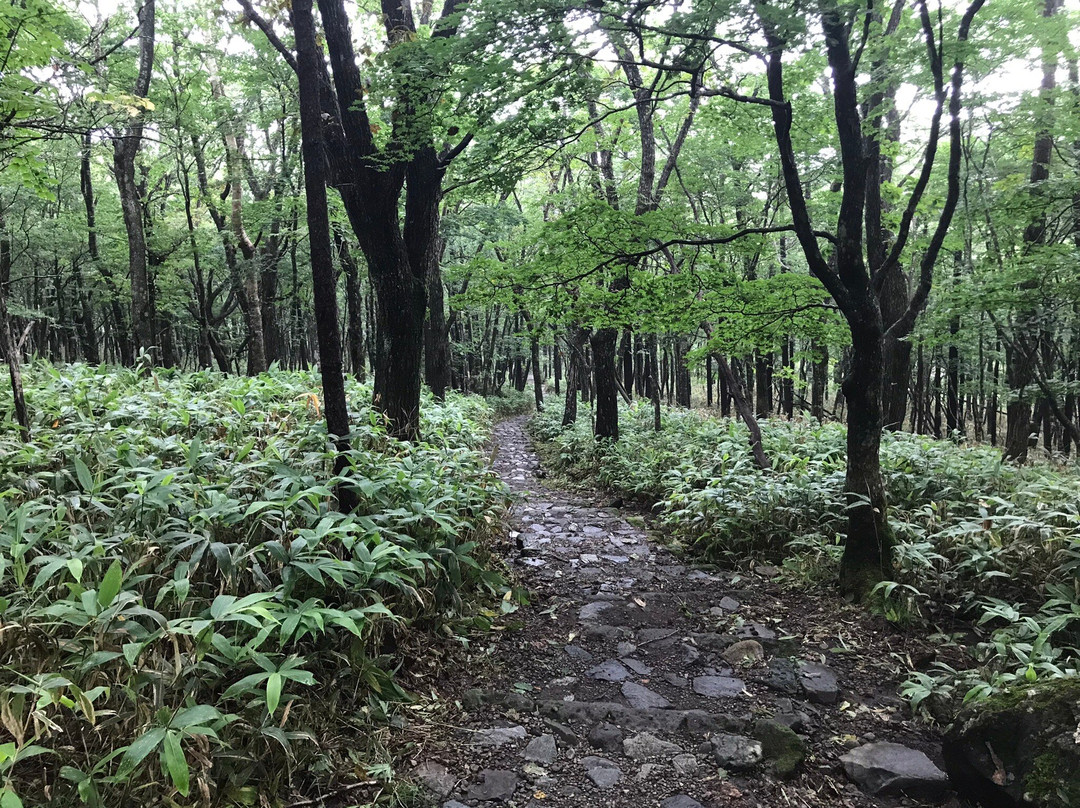 Numappara Marshland-那须盐原市必去景点