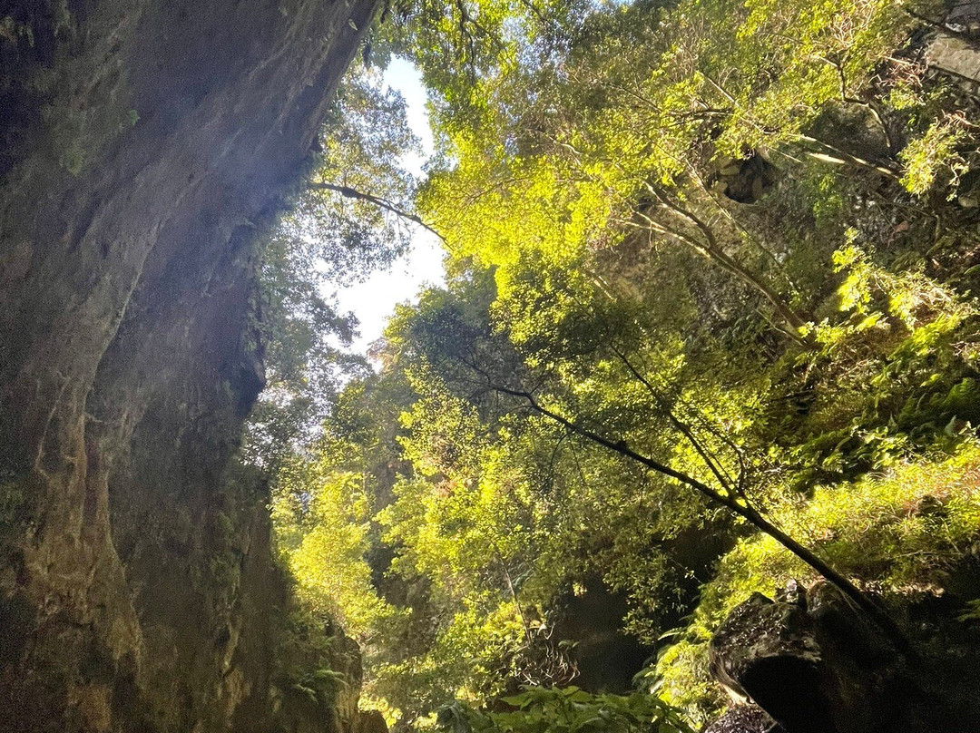 Cascada De los Tilos景点图片